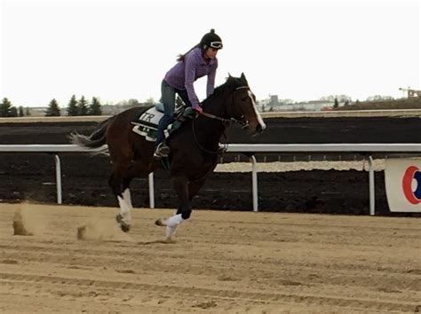 edmonton horse race track.